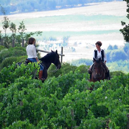 Hotel Castello Banfi - Il Borgo Poggio alle Mura Esterno foto