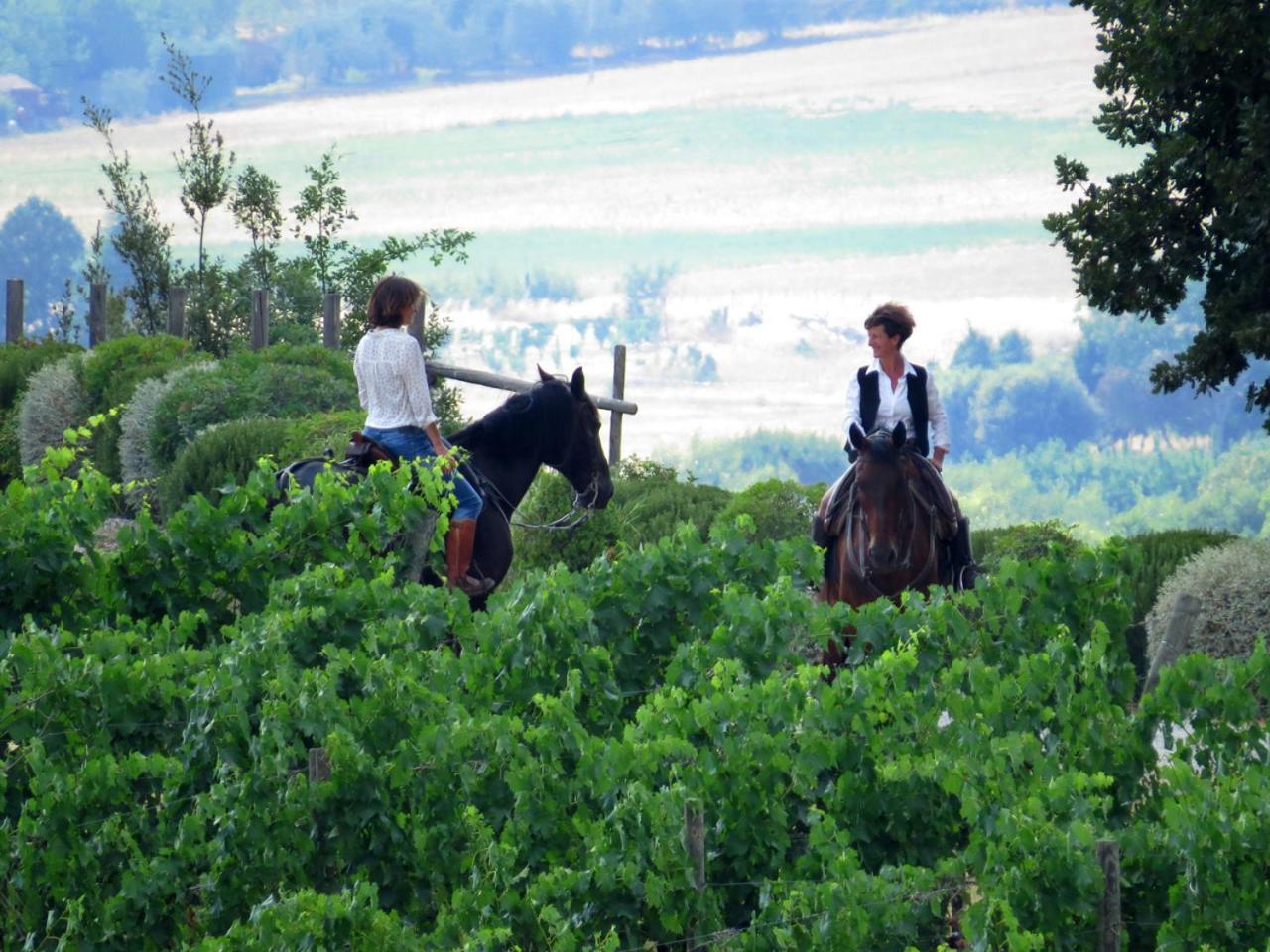 Hotel Castello Banfi - Il Borgo Poggio alle Mura Esterno foto